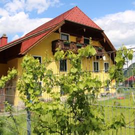 Wagnermoosgut, hotel in Bad Ischl