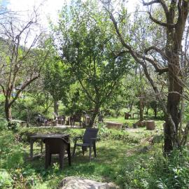 Jibhi Garden Heritage Home Stay, hotell i Jibhi