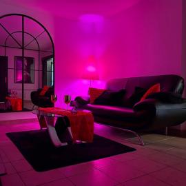 maison romantique avec spa privé, Hotel in Montargis