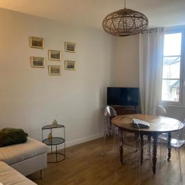 Les marronniers appartement centre Saumur bord de Loire