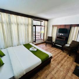 Hotel Blue Heaven Manali Mall Road