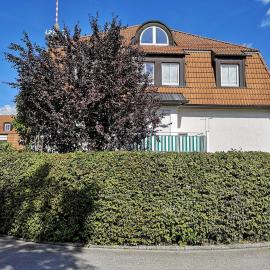 Ruhige, helle Gartenwohnung, 3 Minuten zur Bahn, 40 Minuten zum Oktoberfest, 65 qm