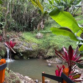 Hostal Finca Los Girasoles