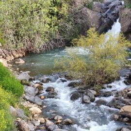 Sanabl Druze Hospitality, hotel u gradu 'Ein Kinya'