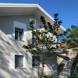 palladio 43