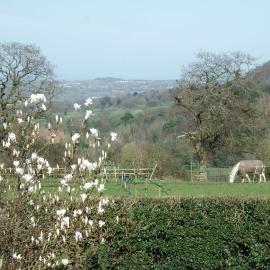 Beautiful views spacious 4 bed detached, Hotel in Alvanley