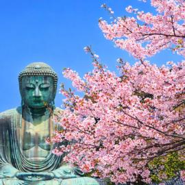 Reserved for 10 people 1 minute walk to the beach 6 minutes to Hase Station 12 minutes to the Great Buddha 最大10名様 徒歩で海1分 ｺﾝﾋﾞﾆ30秒 長谷駅6分 極楽寺駅6分 大仏12分 貸切一軒家96ｍ2 閑静な古民家 星の井庵, hotel a Kamakura