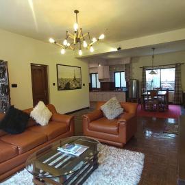 Serene Solace apartment at boudha kathmandu