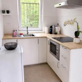 Appartement cosy 1 chambre avec SDB et cuisine