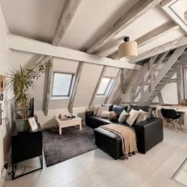 Écrin sous les toits - Charme et lumineux, hotel em Schiltigheim