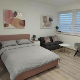 Studio Apartman Tara