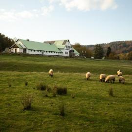 Resort Hvozd