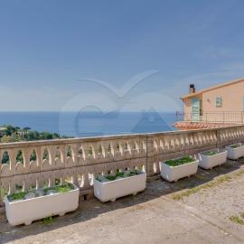 Villa Flora - Goelba