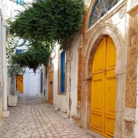 Dar Haroun Tunis