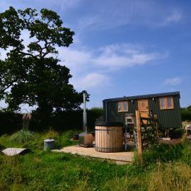 Charlotte-Rose Shepherd's Hut, hotel in Hethersett