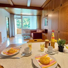 VERONIKA Haus KMB Seeappartement am Ossiacher See mit direktem Seezugang und Hallenbad – hotel w mieście Tschöran