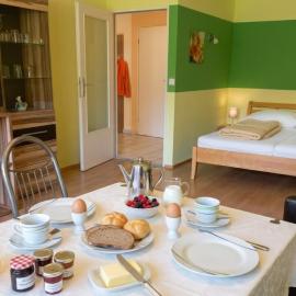 SANDRA Haus KMB Seeappartement am Ossiacher See mit direktem Seezugang und Hallenbad – hotel w mieście Tschöran