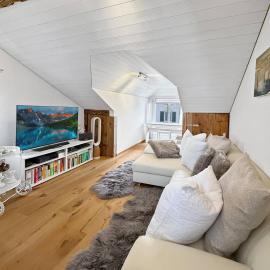 Elegant Lake Zurich House with Stunning Views and Private Terrace，施泰法的飯店