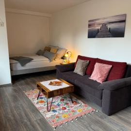 Gemütliches Appartment in ruhiger und zentrumsnaher Lage in Bad Soden am Taunus, hotel in Bad Soden am Taunus