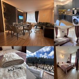 Alenik Private Apartment -Pamporovo