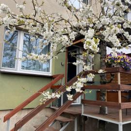Studio pod Orzechem, hotel v destinaci Zbąszyń