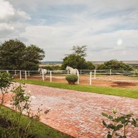 Die Kliphuis, hotell i Klerksdorp