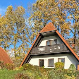 Finnhaus Brigitte