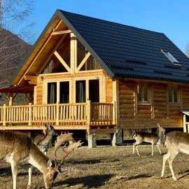 Cabana Cerbilor, khách sạn ở Rusca