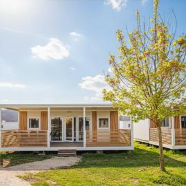 AlpeAdriaBooker Mobile Homes With Terme Čatež Tickets, hotel v destinácii Čatež ob Savi