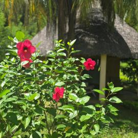 bungalow Bleu, Hotel in Nosy Be