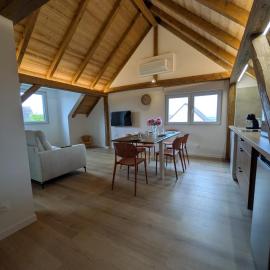 La charmante remise d'Alsace - Appartement Le Chalet, hotel in Hessenheim