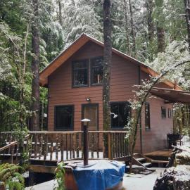 Cabañas Los Picaflores, hotel v destinácii Panguipulli