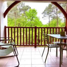 Appartement avec vue golf - 4 pers. - FR-1-521-275, hotel in Biscarrosse