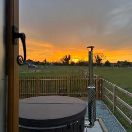 Shepherds hut surrounded by alpacas and ponies, hotel en Norwich