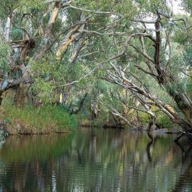 Zamenhof River Cabin - Peaceful Farm Escape - Pets Welcome, hotel i Yass