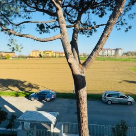 Appartamento accogliente per soggiorni brevi, Ozzano dell'Emilia