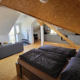 Apartmán u kolejí D, hotel di Kašnice