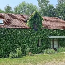 Moulin de Lantouy