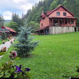 Cabana Cremenea, hotel in Merişor