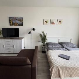 THE RIVERSIDE APARTMENT with Balcony, מלון בפראג