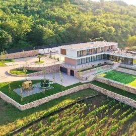 Spectacular Villa Excelsior Perfect for Families, Business, or Celebrations