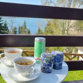 Lakeview Mavrovo Villa - Your Escape to Tranquility, Hotel in Mavrovo-Nationalpark
