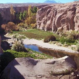 Toconao में, होटल Oasis terrenal Toconao