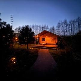 The Love Nest