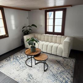 Cozy apartment near Lake Ägerisee, hotel u gradu Unterägeri