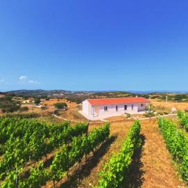 Il Sughereto In Vigna