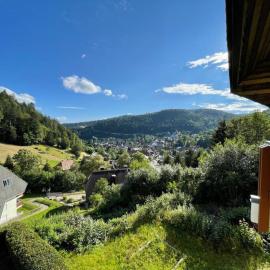 Panorama Apartment Todtmoos, hotel Todtmoosban