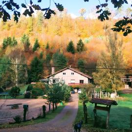 Gîte de la vallée, En Pleine Forêt, hotell sihtkohas Soucht