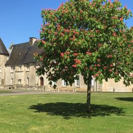 Gites Du Château De Saveilles