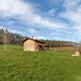 Casa Alba, hotel in Bárcena de Cicero
